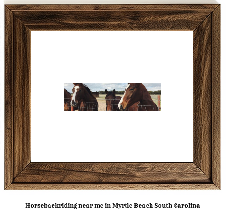 horseback riding near me in Myrtle Beach, South Carolina